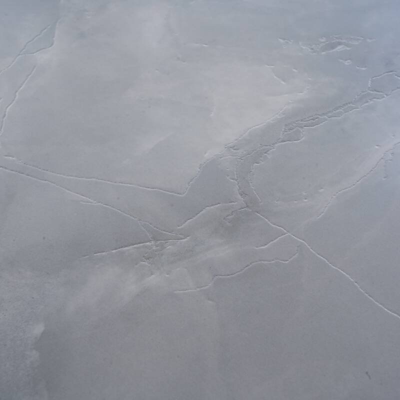 Splendor 24x48 in. Honed Porcelain Crosscut Large Wall and Floor Tile (15.5 sq ft/case, 2-Pack)