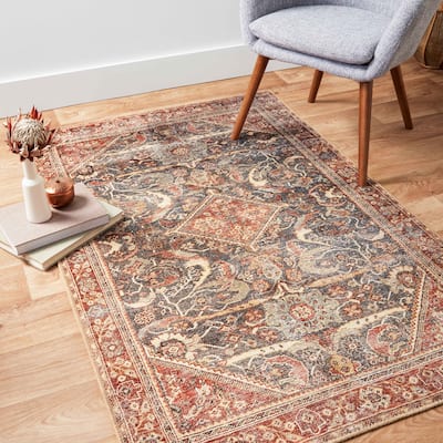 Alexander Home Dhanya Vintage Bohemian Area Rug