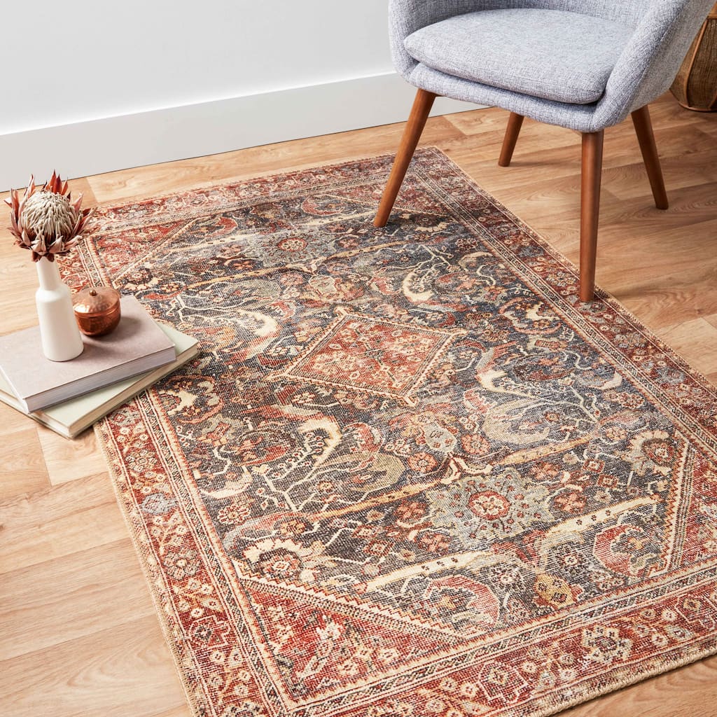 Alexander Home Dhanya Vintage Bohemian Area Rug