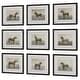 preview thumbnail 4 of 4, Uttermost Equine Dynasty Framed Prints, Set of 9