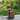 32.3" H Farmhouse Well Water Pump and Pots Resin Fountain with LED Lights