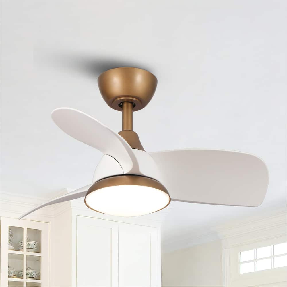 28" Black Modern Dimmable LED Ceiling Fan with Light and Remote