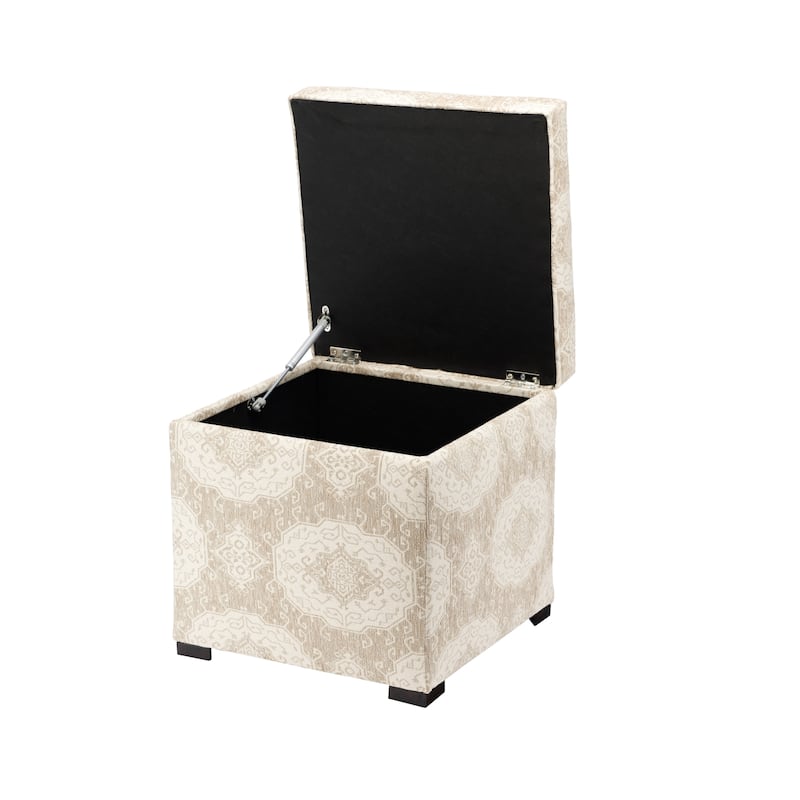 Tami Modern Upholstered Living Room Storage Ottoman - Beige