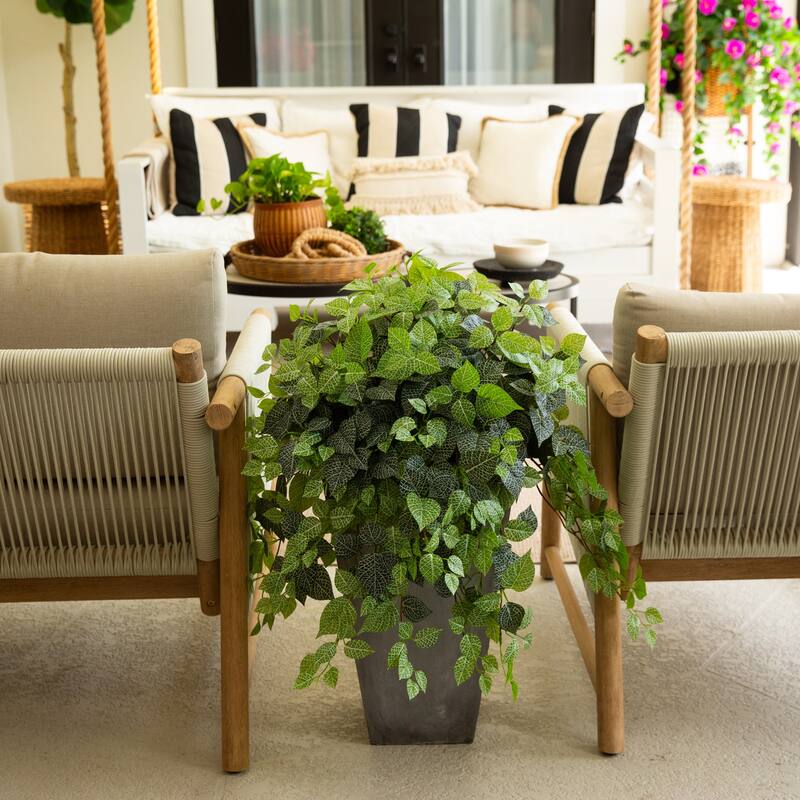 24-in UV Resistant Artificial Fittonia Hanging Plant - Set of 3