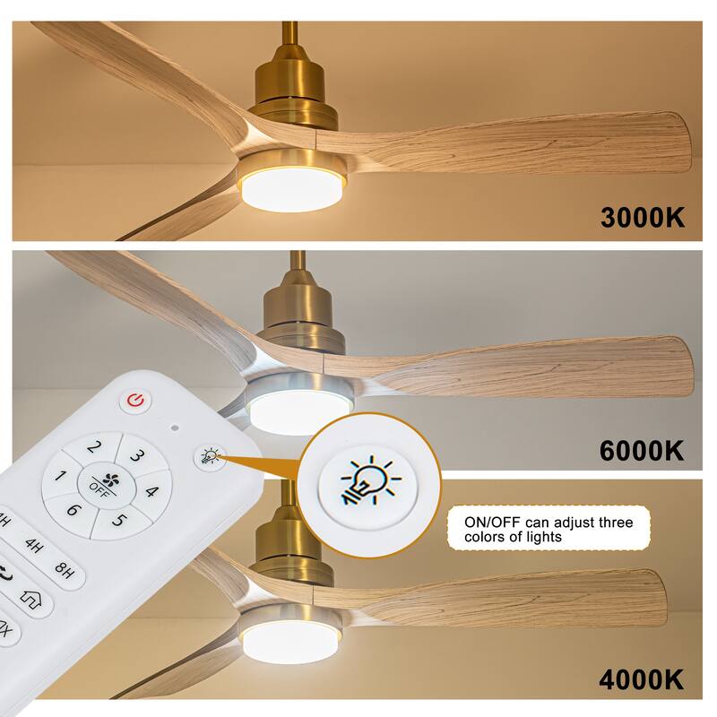 Morden LED Ceiling Fan with Light and Remote