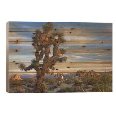 Joshua Tree, Joshua Tree National Park, California Print On Wood by Tim Fitzharris - Multi-Color