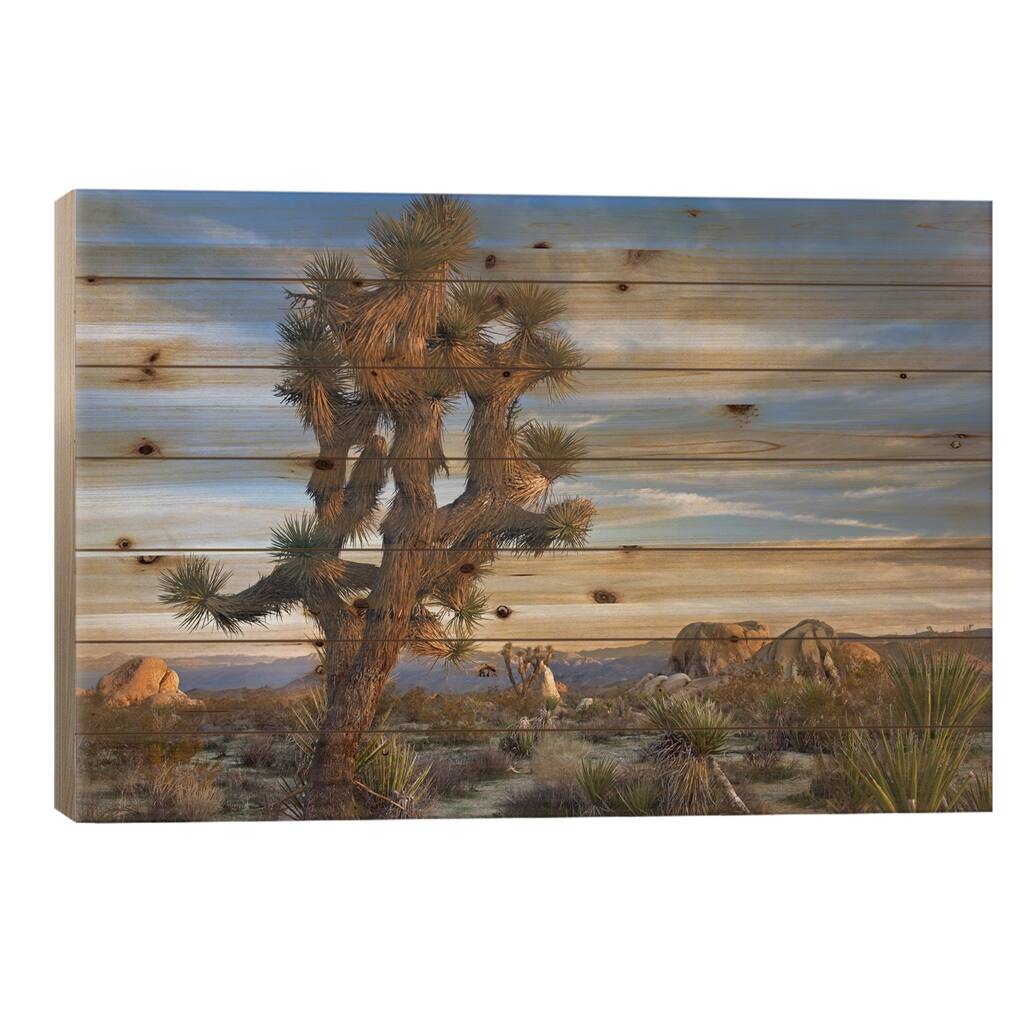 Joshua Tree, Joshua Tree National Park, California Print On Wood by Tim Fitzharris - Multi-Color