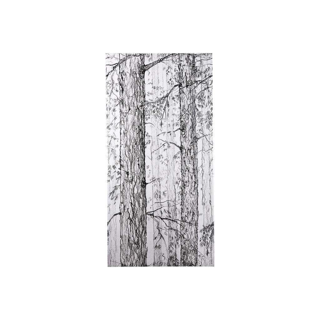 Forest BW I (22 x 44) Canvas Art Print