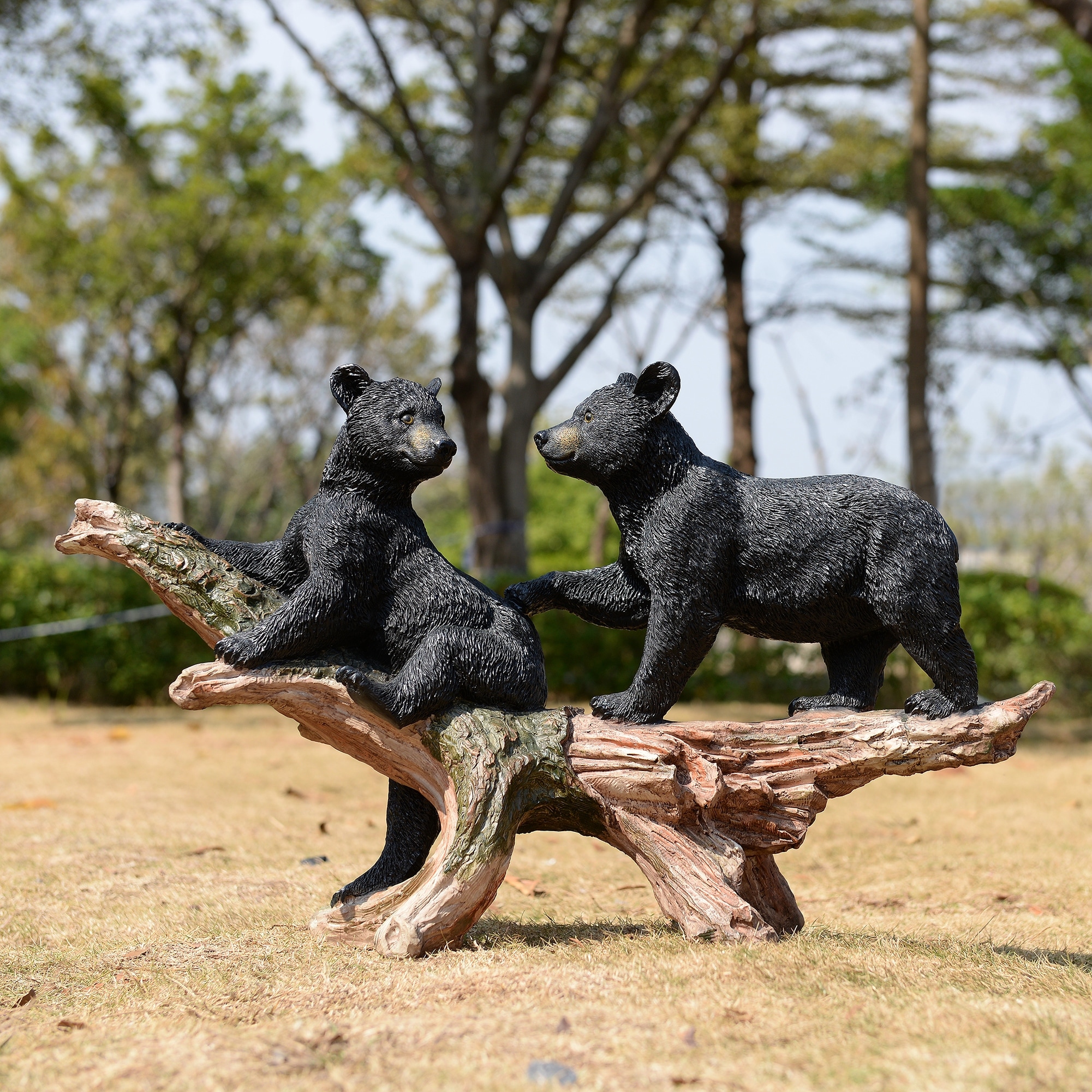 Hi-Line Black Bears on Log