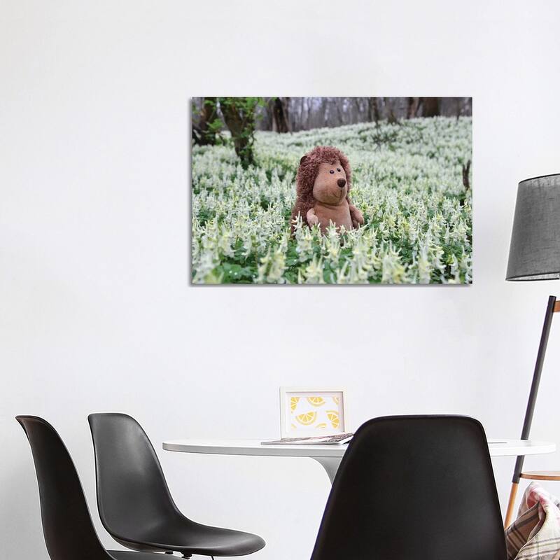 iCanvas "Hedgehog In A Blooming Meadow II" by Mike Kiev Canvas Print - 26x40x1.5
