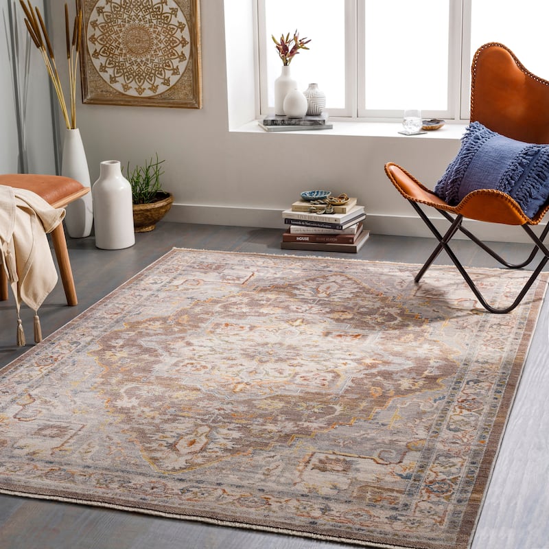 Livabliss Pedram Vintage Medallion Area Rug