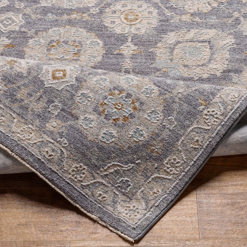 Artistic Weavers Pashe Vintage Distressed Area Rug