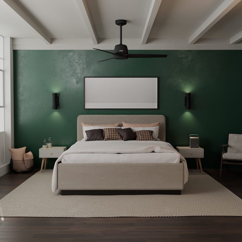Hunter + Jasmine Roth 52" Malden Ceiling Fan and Handheld Remote - Contemporary, Modern - Designer!