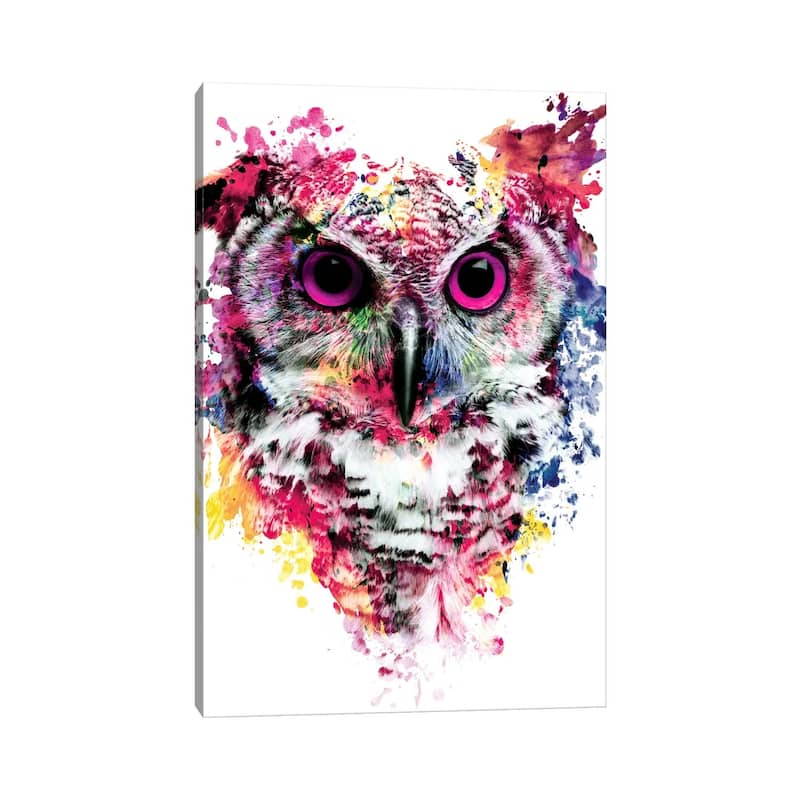 iCanvas "Owl I" by Riza Peker Canvas Print