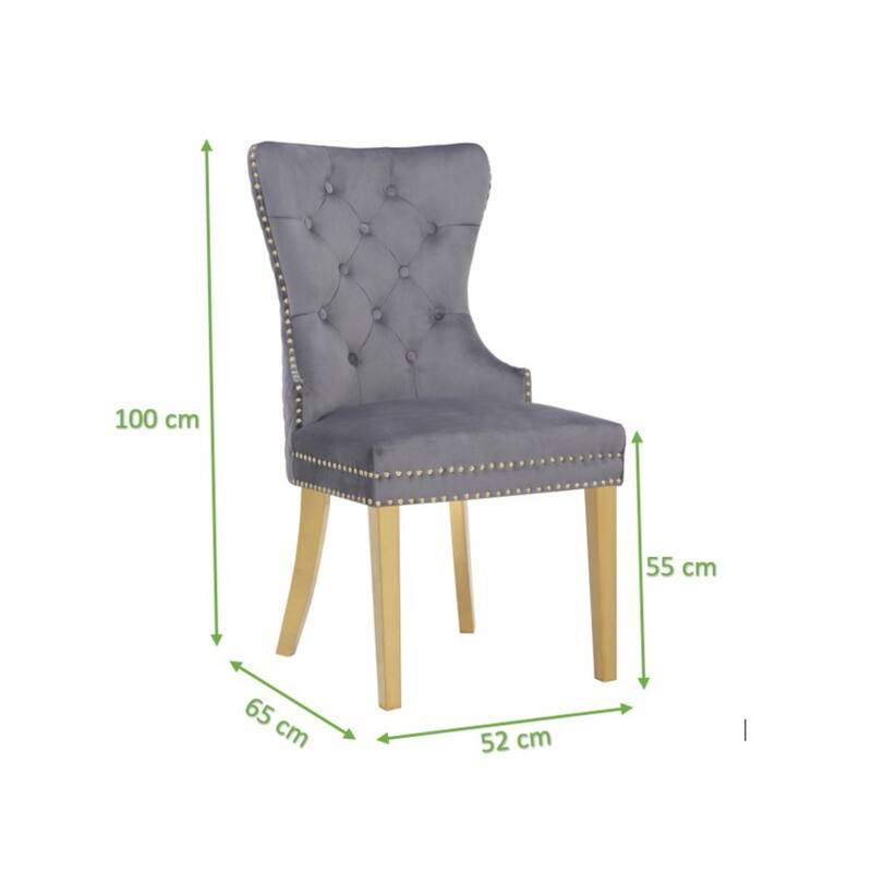 Modern Set of 2 Dining Chairs with Button Tufted Upholstered Back, Nailhead Trim, Stainless Steel Legs for Dining Room