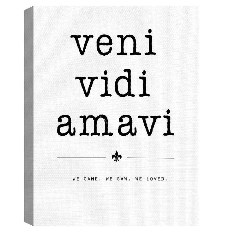 Veni Vidi Amavi Canvas Art Print