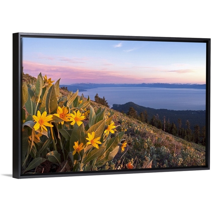 Shop Sunset And Yellow Mules Ears Flowers Above Lake Tahoe In