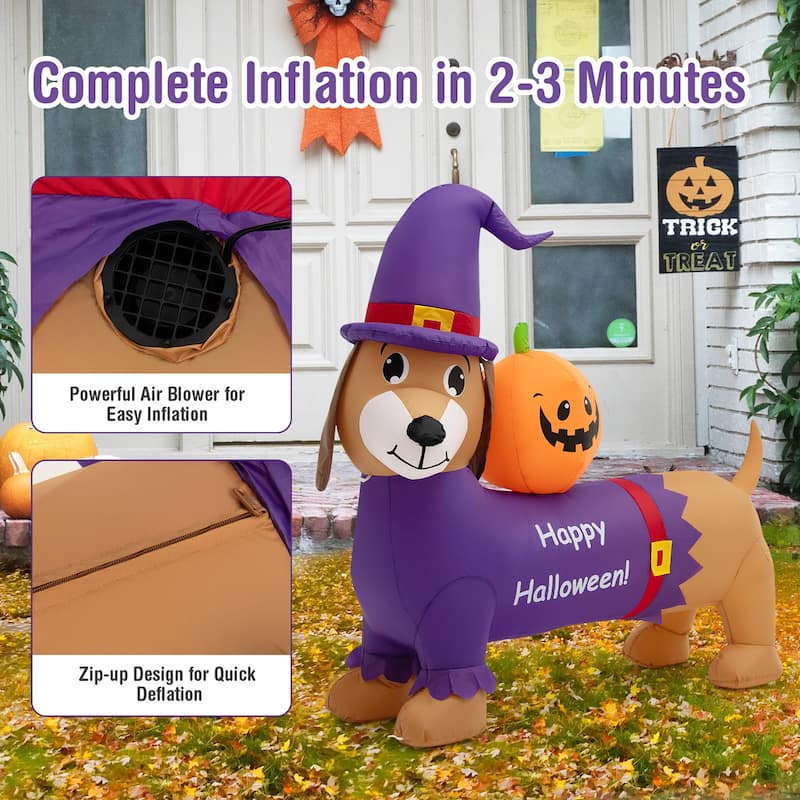 Costway 5 FT Long Halloween Inflatable Dachshund Dog with Pumpkin Self - See Details