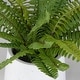preview thumbnail 3 of 2, Uttermost 60238 Boston Fern 14" Tall Ceramic Faux Flora Planter