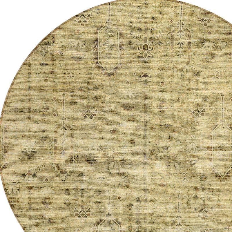 HomeRoots Southwestern Transitional Rectangle Outdoor Rug