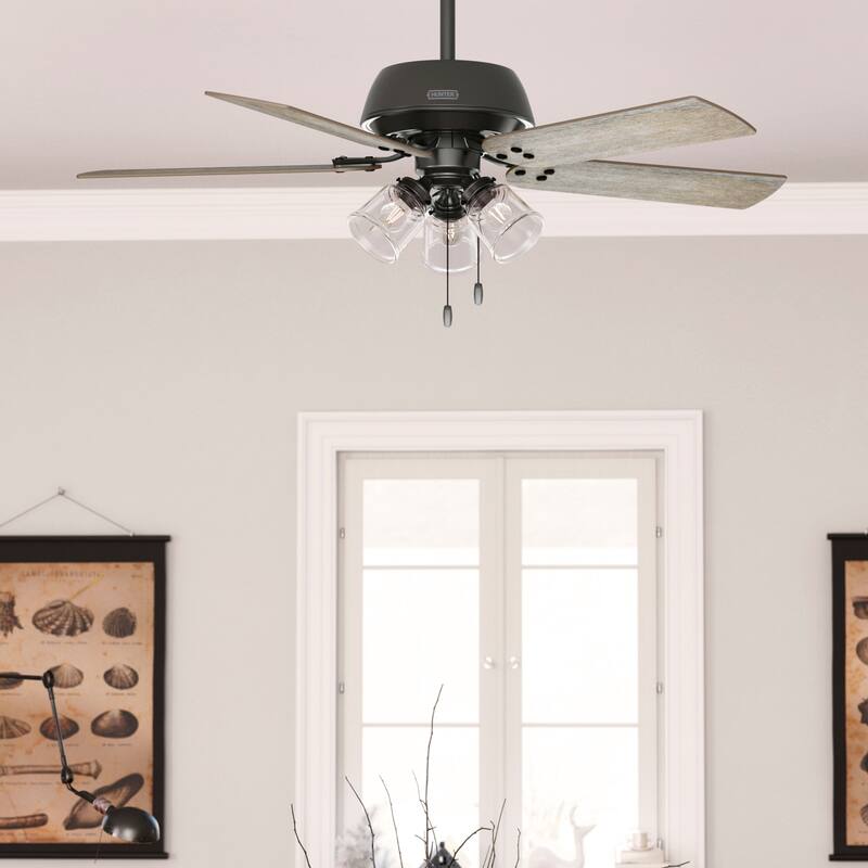 Hunter 52" Shady Grove Ceiling Fan with LED Light Kit/ Pull Chain, Standard or Flush Mount - Casual, Transitional - Standard - Noble Bronze