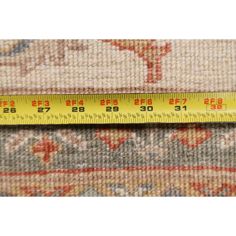 Vegetable Dye Sultanabad Ziegler Oriental Wool Area Rug Hand-knotted - 9'1" x 12'0"