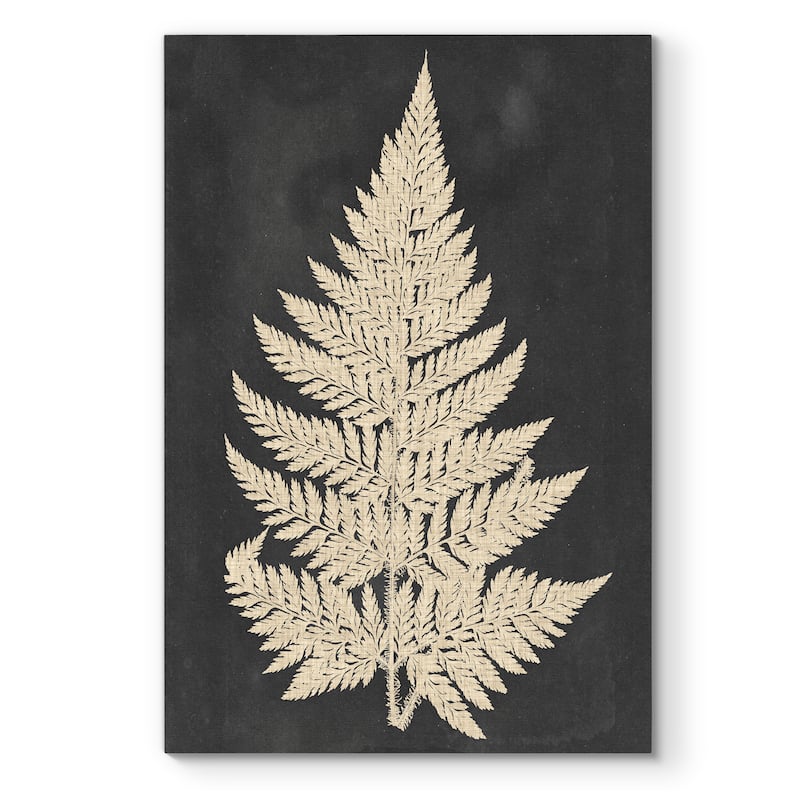 Linen Fern I -Premium Gallery Wrapped Canvas