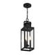 preview thumbnail 4 of 3, Ascott 3-Light Outdoor Hanging Lantern in Matte Black