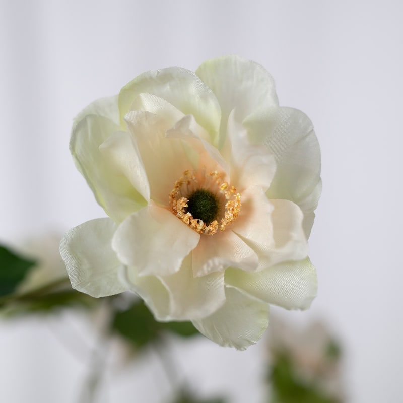 Silk Decorative Artificial Anemone cathayensis(Pack of 1 Branch)