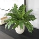 preview thumbnail 3 of 3, Uttermost 60229 Verdure Fern 16-1/4" Tall Ceramic Faux Flora Planter - Tan