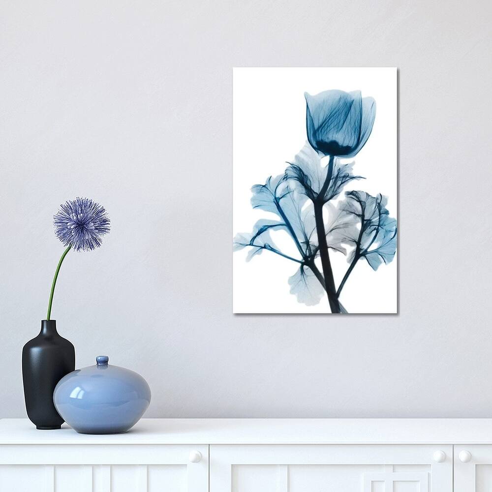 iCanvas "Sapphire Gleam I" by Albert Koetsier Canvas Print