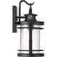 preview thumbnail 4 of 4, Booker 1-Light Outdoor Wall Lantern in Mystic Black