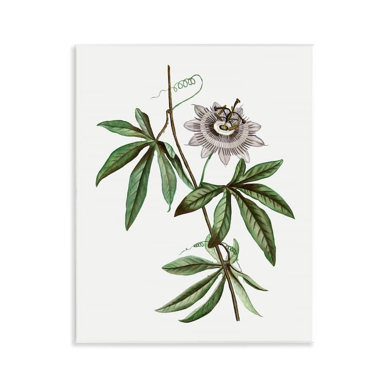 Stupell Vintage Circular Bloom Wall Plaque Art Design By CAD Designs - 11 x 14