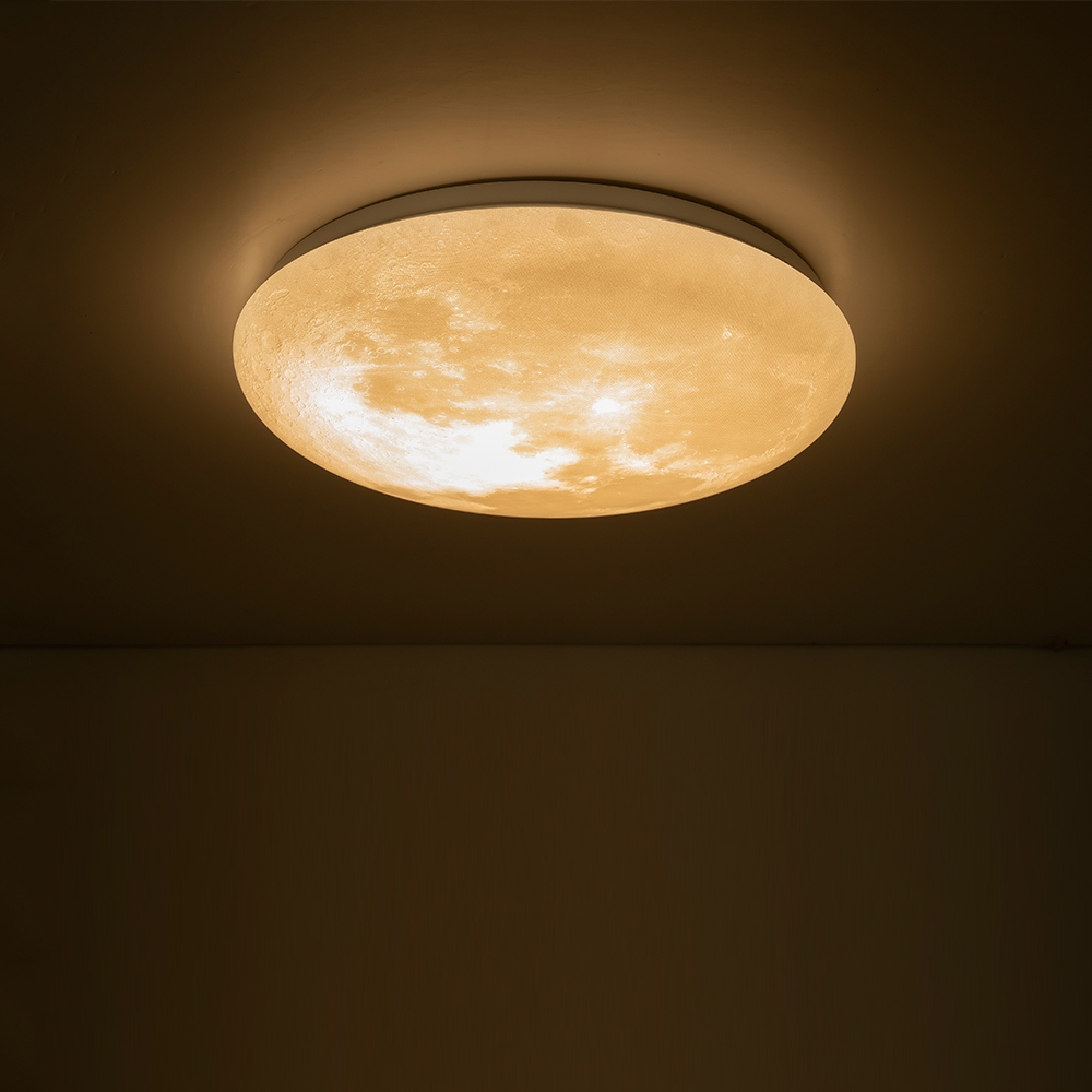 Moon flush mount light new arrivals