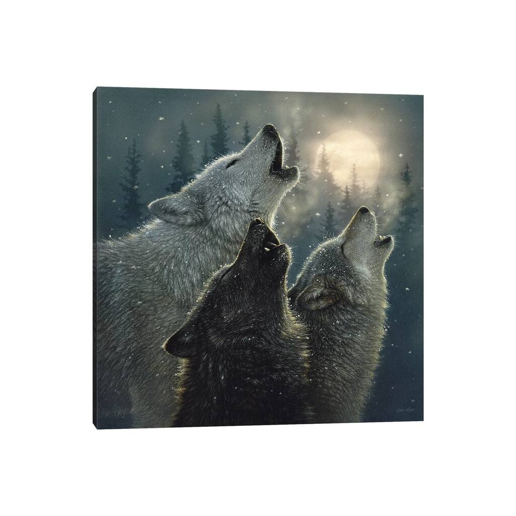 iCanvas "Howling Wolves In Harmony, Square" by Collin Bogle Canvas Print