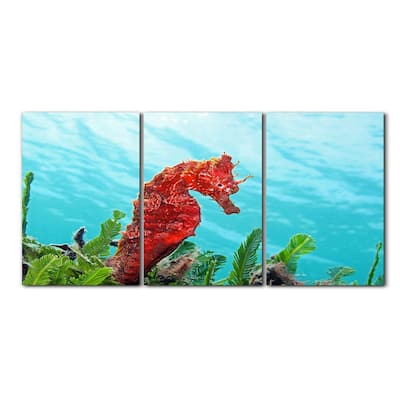Ready2HangArt 'Seahorse' 3-Piece Wrapped Canvas Wall Art Set