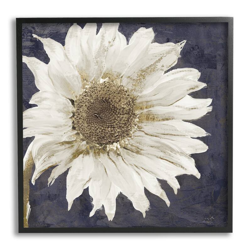 Stupell Modern Distressed Daisy Framed Giclee Texturized Wall Art, Design By Sophie 6 - 24 x 24 - Black