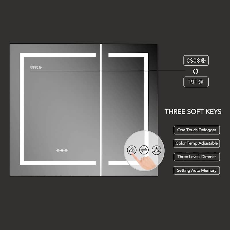 LED Medicine Cabinet with Amplified Mirror and Defogger