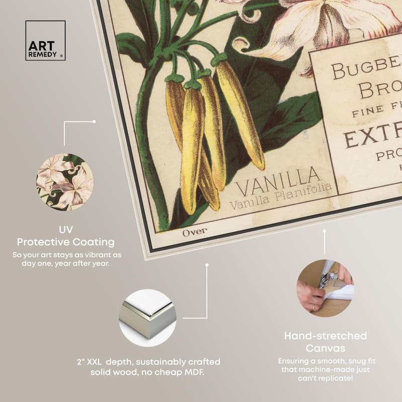 Vanilla Planifolia Canvas by Art Remedy