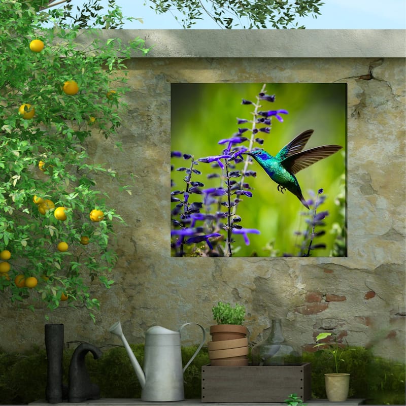 Hummingbird No 7 Indoor Outdoor Art - Multi-color