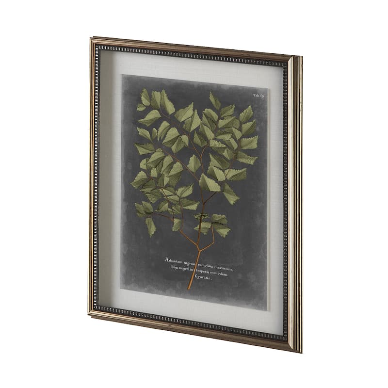 Foliage Dramatique V Framed Art Print