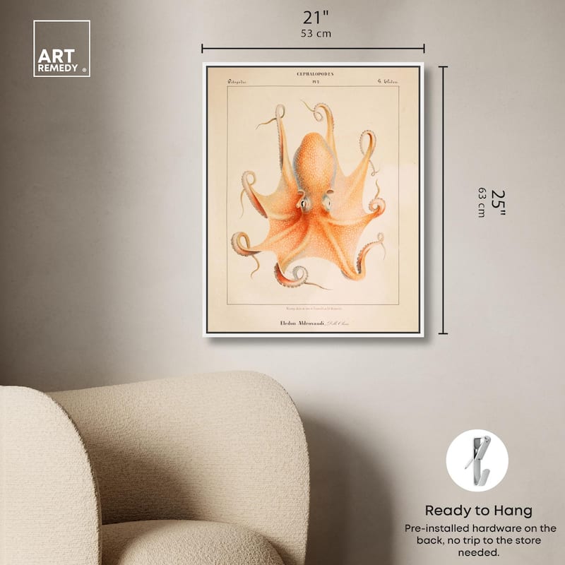 Verany The Octopus 1815 II Canvas by Art Remedy
