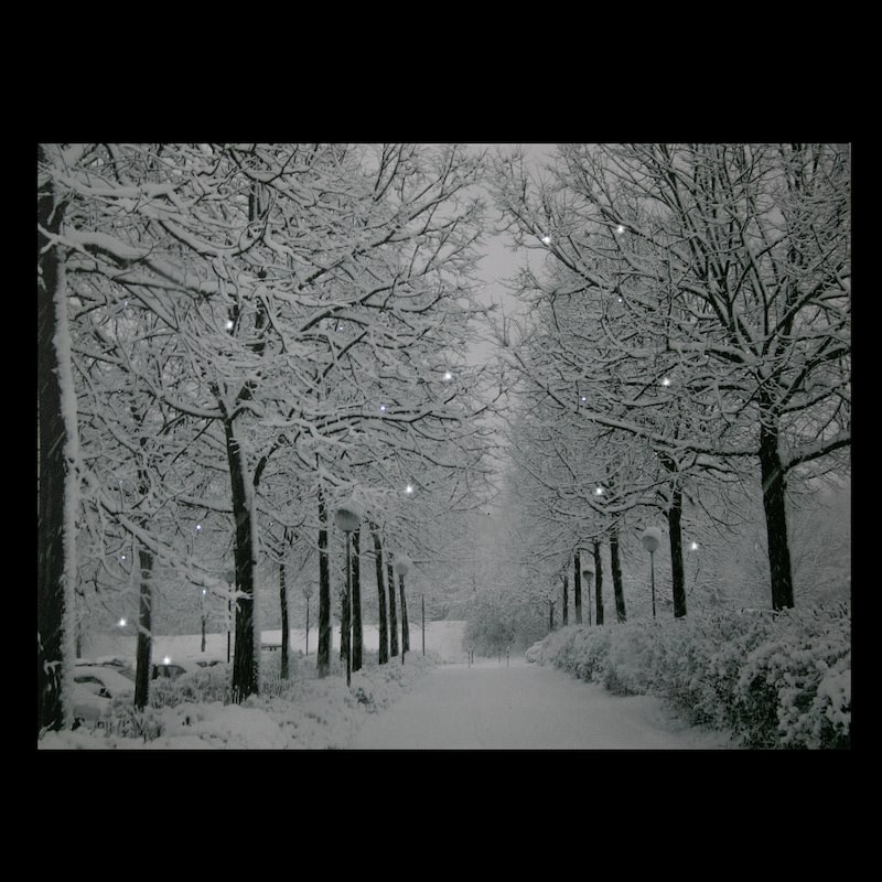 LED Lighted Fiber Optic Twinkling Snow Covered Tree Scene Canvas Wall Art 15.75" x 11.75"