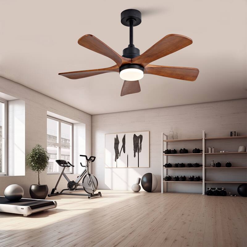 42 Inch Modern Ceiling Fans With Lights and Remote Control, 5 Solide Wood Blades, Reversible DC Motor