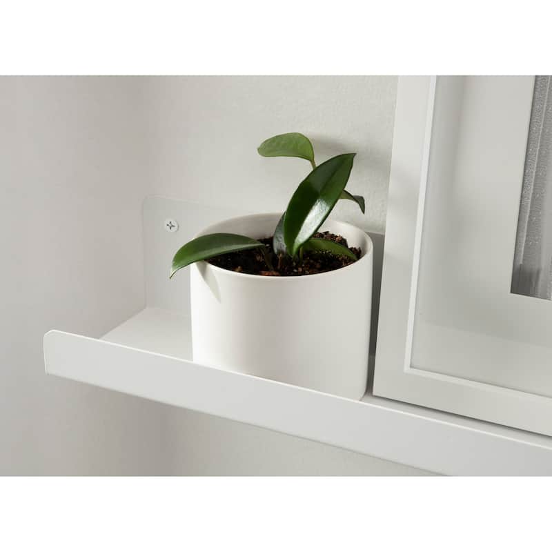 Porch & Den Stringtown Modern Metal Ledge Shelf