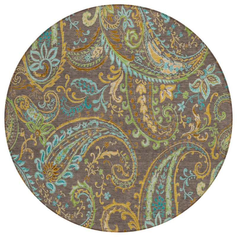 Machine Washable Indoor/ Outdoor Paisley Chantille Rug