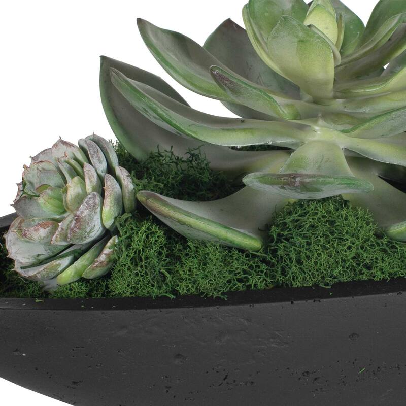 Uttermost Verde Succulent Centerpiece In Bowl - 29.00" W x 6.00" H x 8.00" D