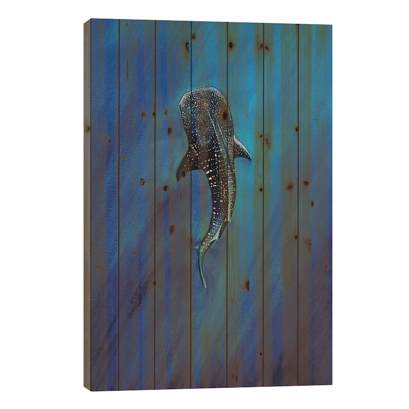 Whaleshark II Print On Wood by Karli Perold - Multi-Color - 26x18x1.5