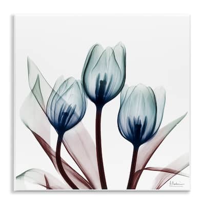 Stupell Chic Blue Translucent Tulips Wall Plaque Art Design By Albert Koetsier