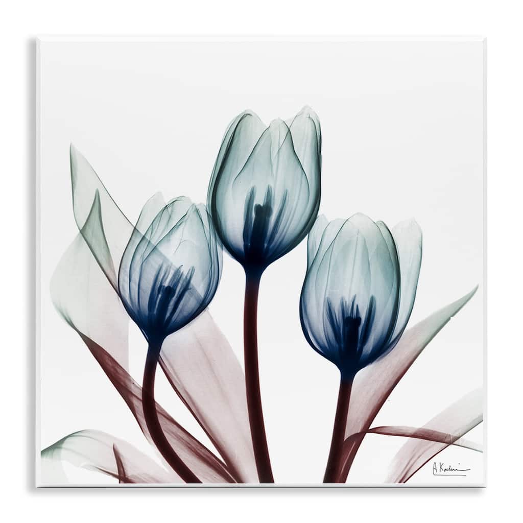 Stupell Chic Blue Translucent Tulips Wall Plaque Art Design By Albert Koetsier